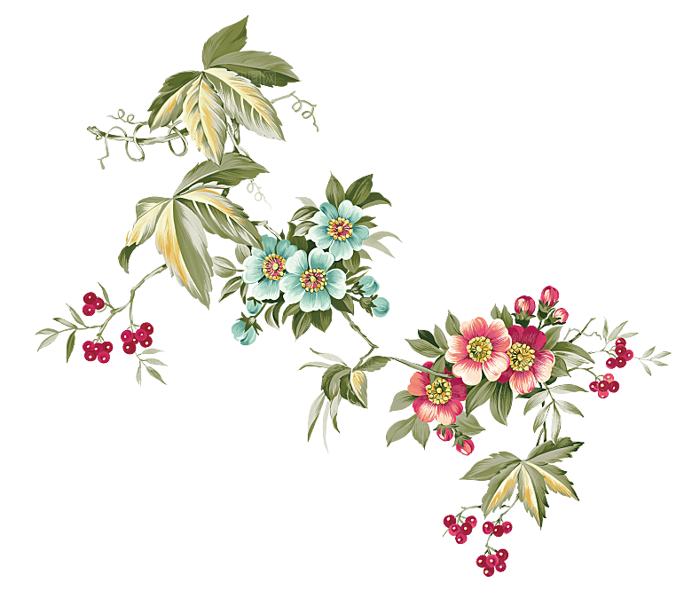 中式工笔画花卉牡丹梅花元素