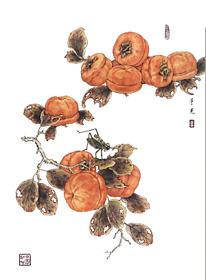中式工笔画花卉牡丹梅花元素