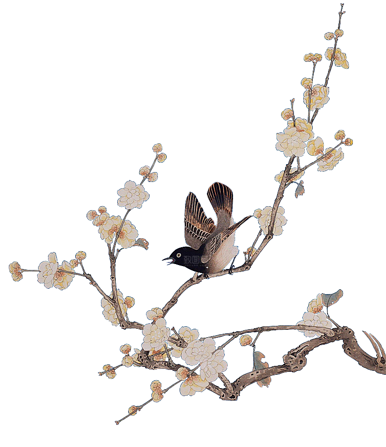 中式工笔画花卉牡丹梅花元素