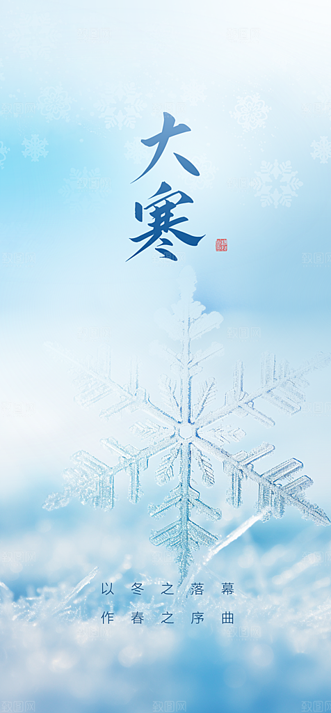 简约24节气之大寒节气海报