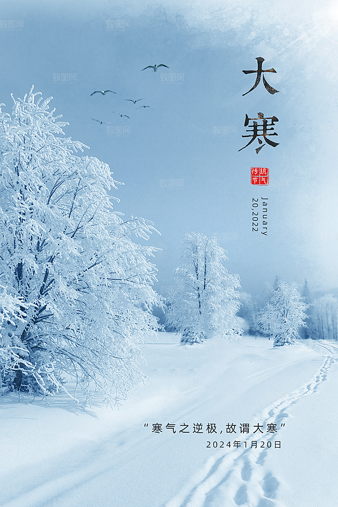 大寒节气推广宣传海报