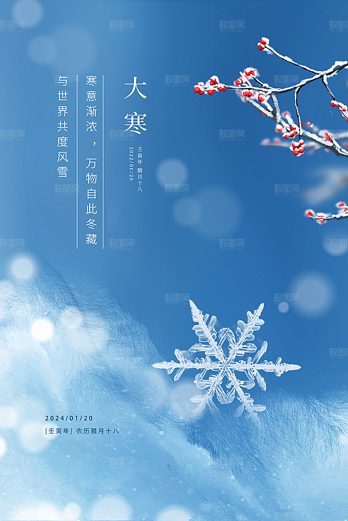 二十四节气简洁借势海报大寒
