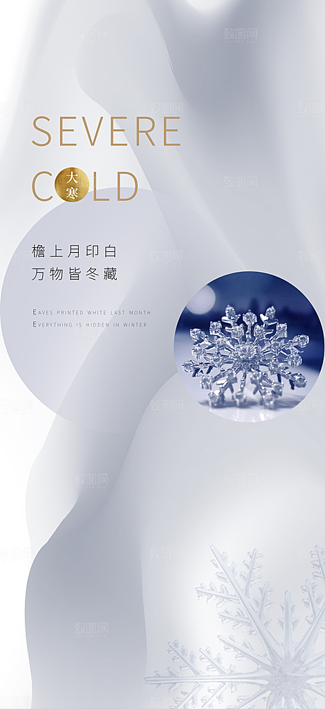 二十四节气简洁借势海报大寒