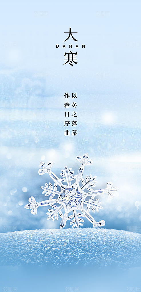 简约唯美冬季冬天大寒海报