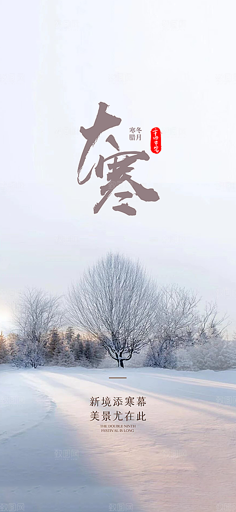 浪漫冬季大寒系列手机海报