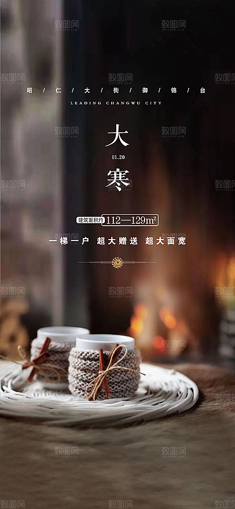 二十四节气传统节气大寒海报