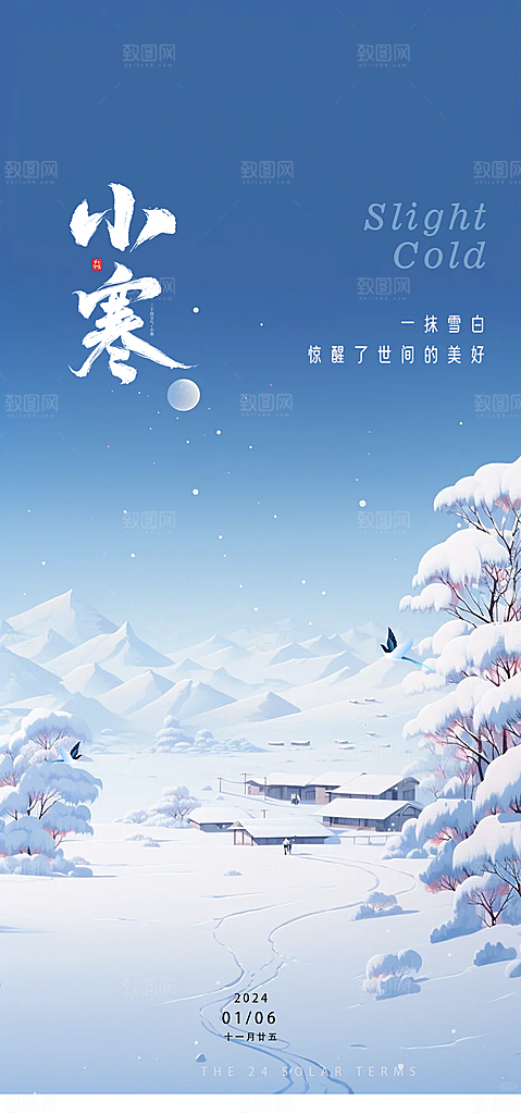 二十四节气传统节气大寒海报