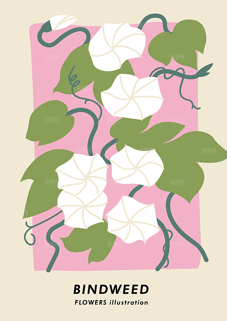 简约大气小清新植物花卉插画