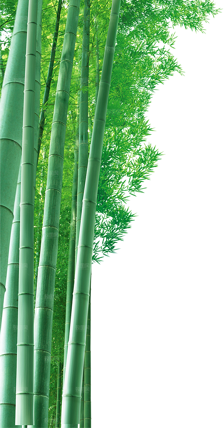 中式古风水墨竹子免扣素材
