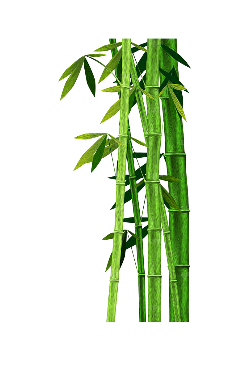 中国风武侠水墨竹子PNG元素
