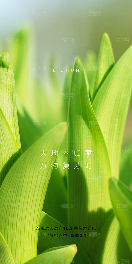 立春时节春意盎然传统节气