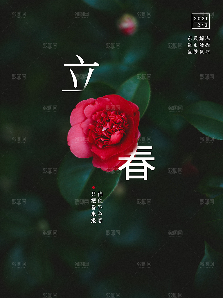 春季插画二十四节气立春
