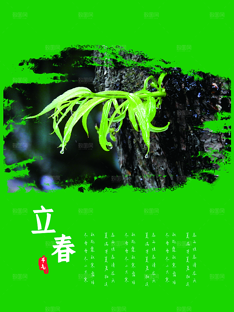 立春时节春意盎然传统节气