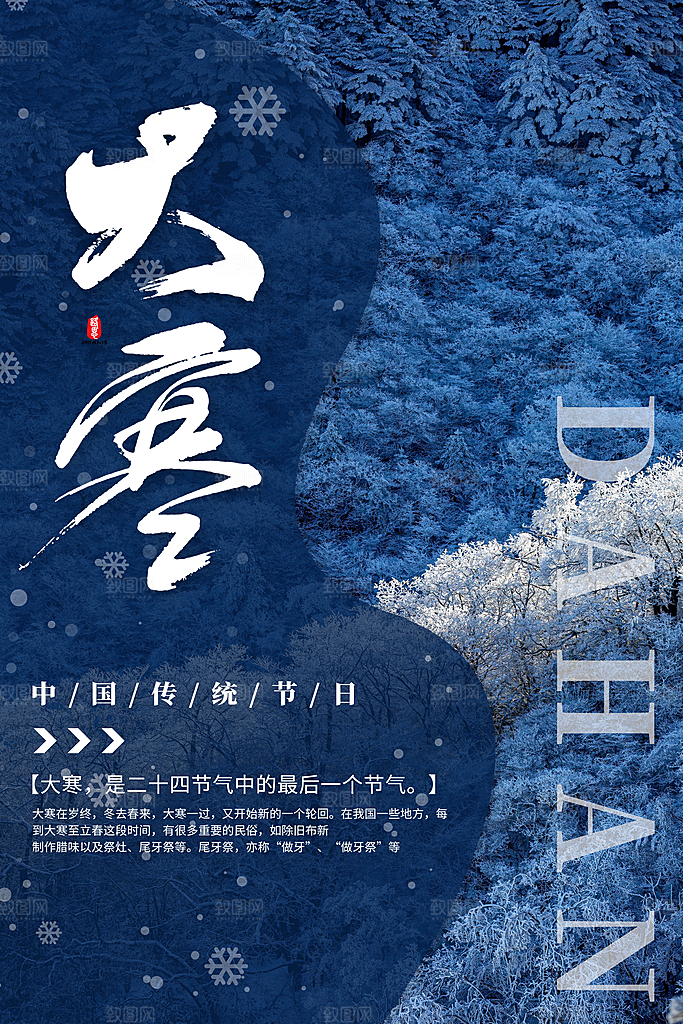 高档大寒节气宣传海报