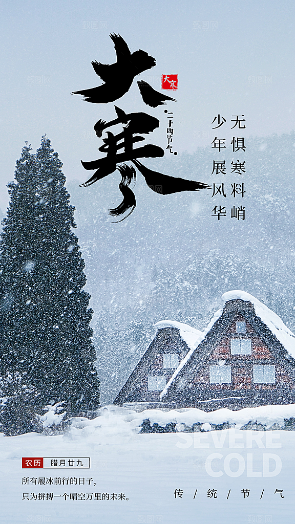 高档大寒节气宣传海报
