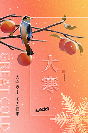 时尚大寒节气宣传海报