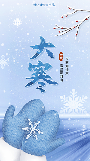 时尚大寒节气宣传海报