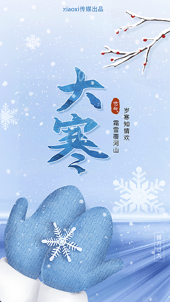 时尚大寒节气宣传海报