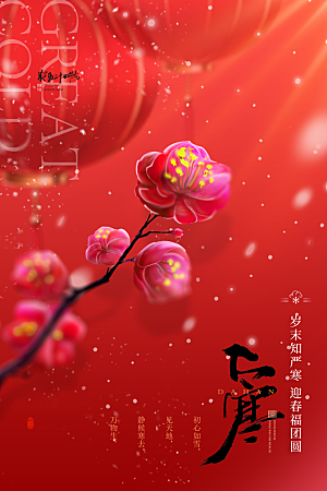 清新大寒节气宣传海报