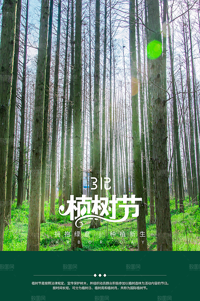 大气植树节活动宣传海报