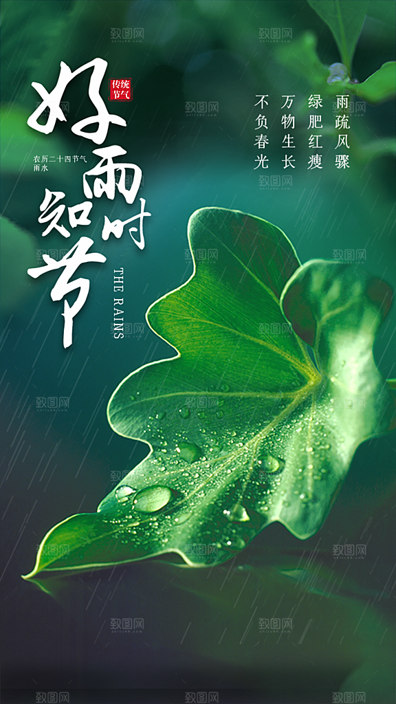 地产雨水节气简约大气海报