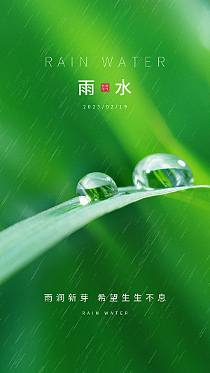 地产雨水节气简约大气海报