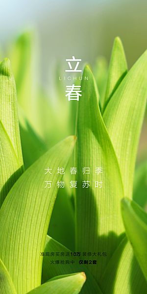 立春二十四节气海报