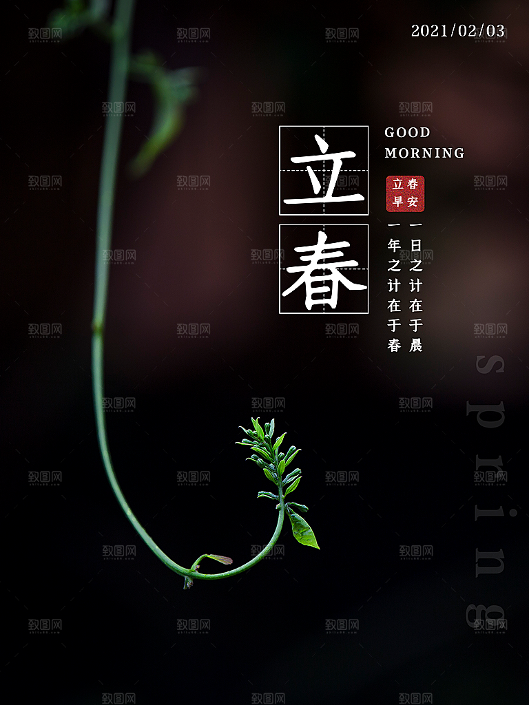 迎春来春雨绵绵节气立春