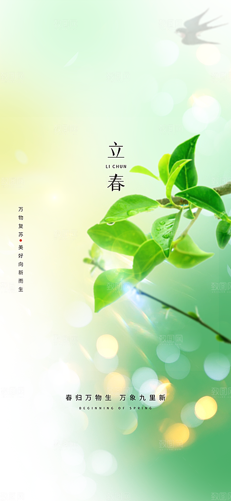 春季宣传二十四节气立春海报