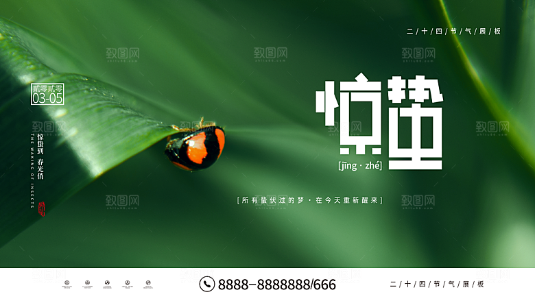 时尚惊蛰节气宣传展板