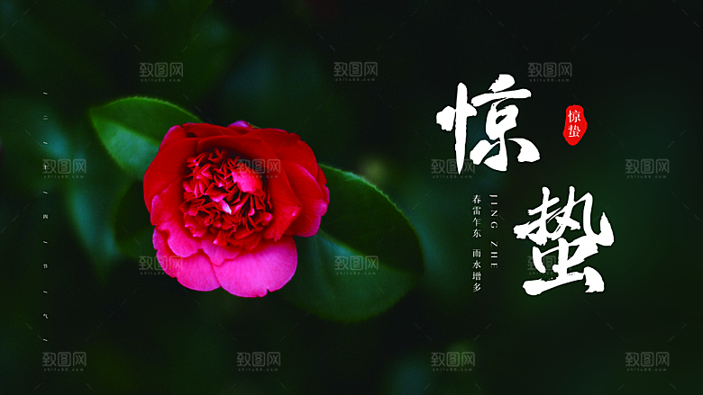 时尚惊蛰节气宣传展板