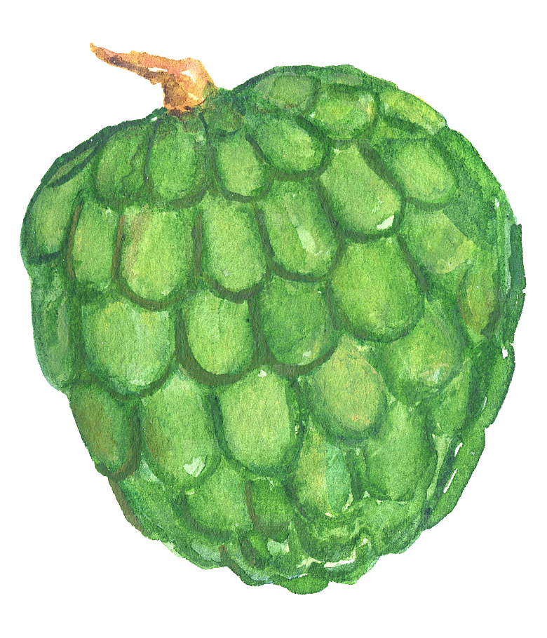 手绘水彩水果素菜美食元素