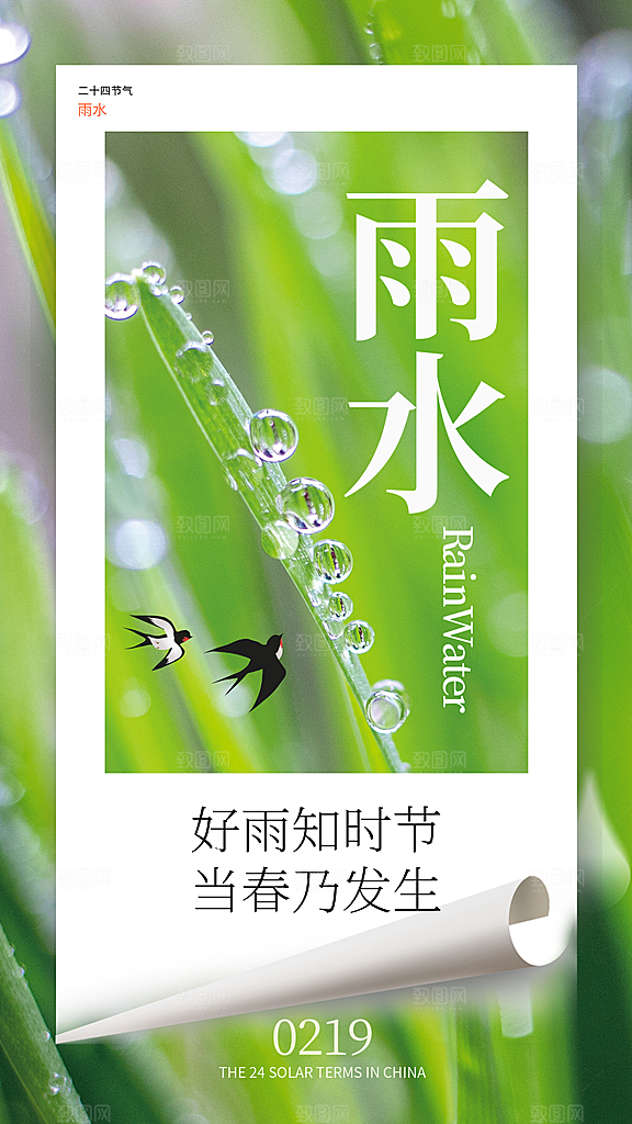 雨水节气简约大气海报