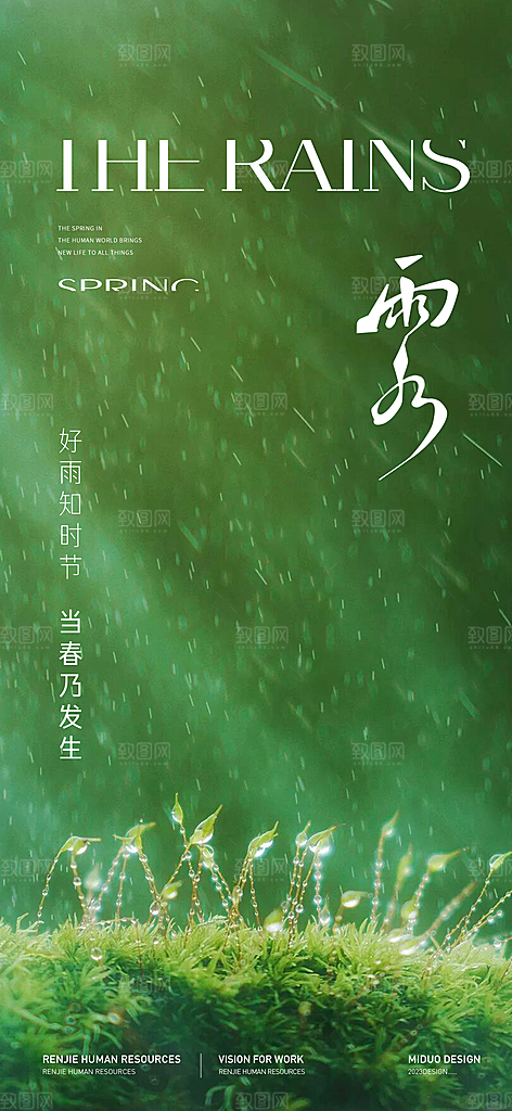 雨水节气海报单图