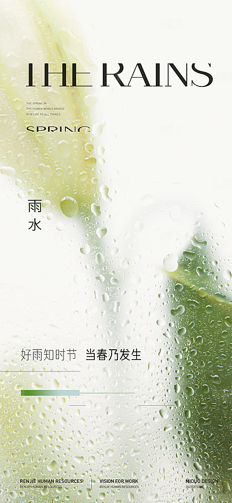 雨水节气海报单图
