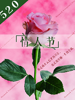 520情人节节日简约大气海报