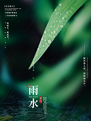 雨水节气简约大气海报