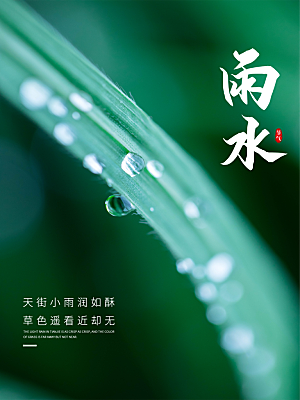 地产雨水节气简约大气海报