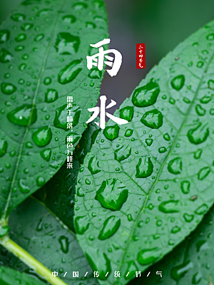 地产雨水节气简约大气海报