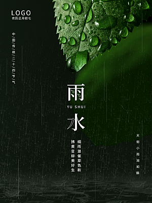 地产雨水节气简约大气海报