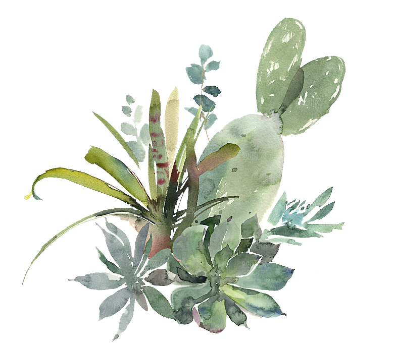 文艺手绘仙人掌植物设计素材