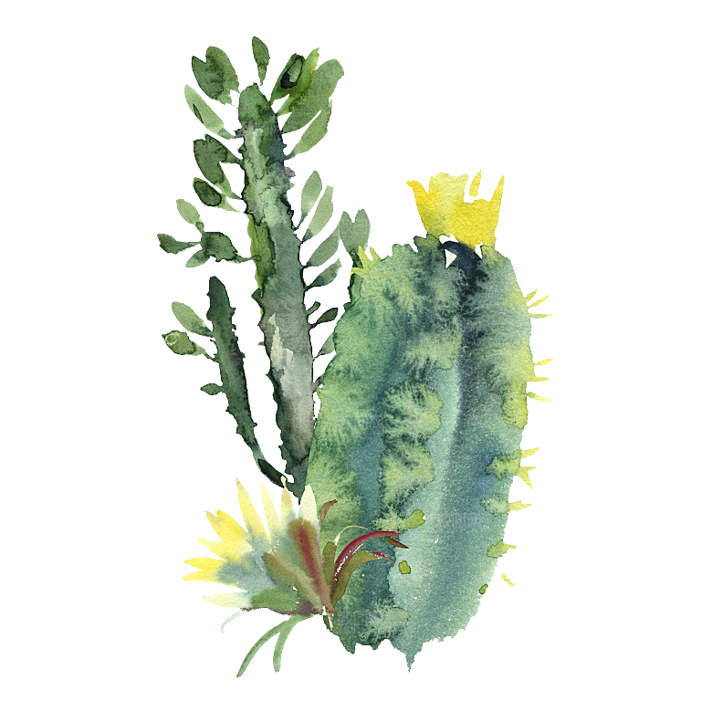 文艺手绘仙人掌植物设计素材