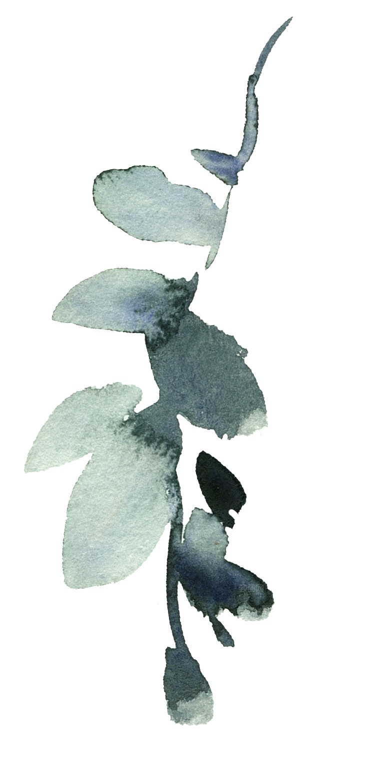 文艺手绘仙人掌植物设计素材