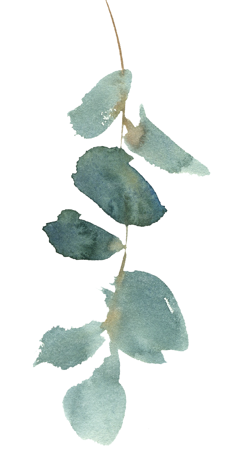 文艺手绘仙人掌植物设计素材