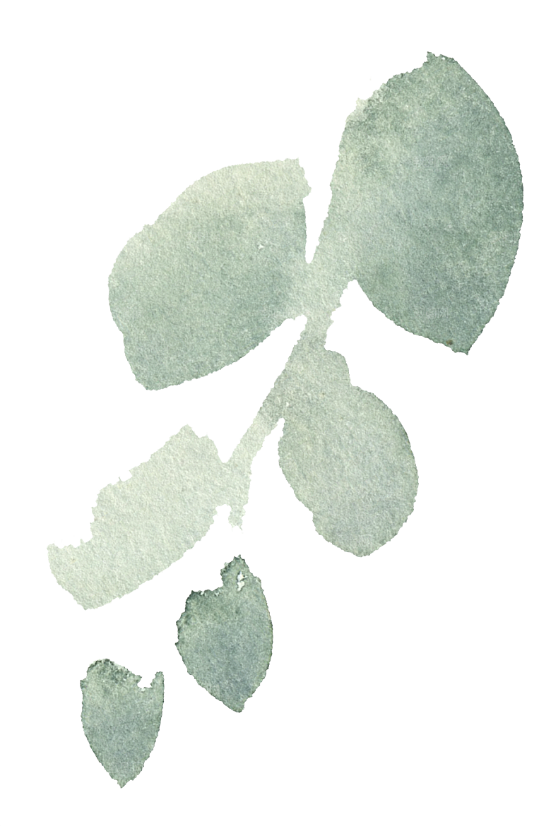 文艺手绘仙人掌植物设计素材