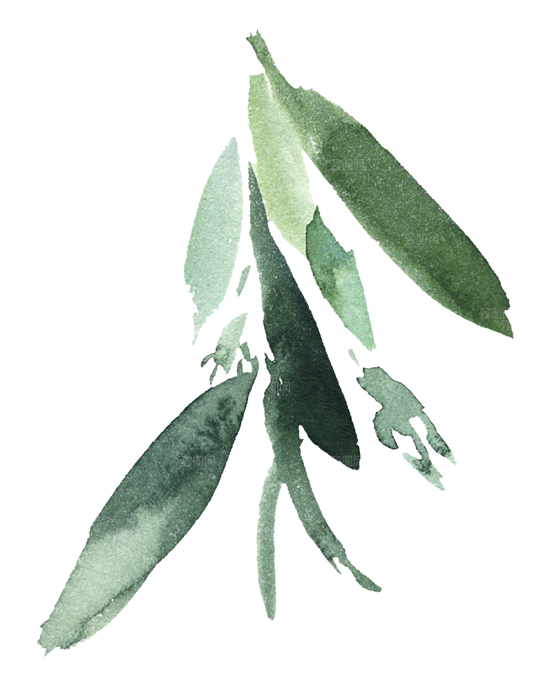 文艺手绘仙人掌花卉植物设计素材