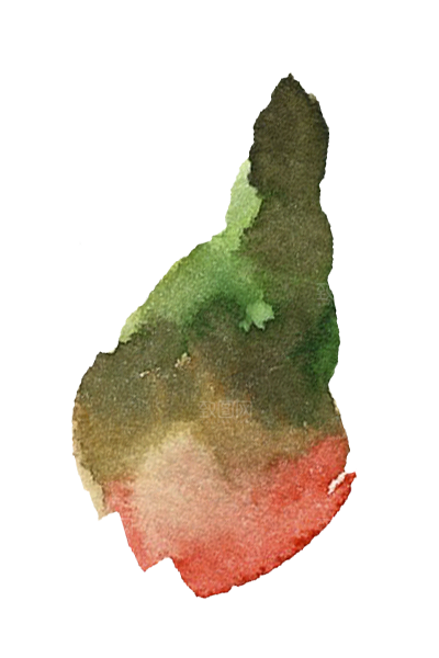 文艺手绘仙人掌花卉植物设计素材