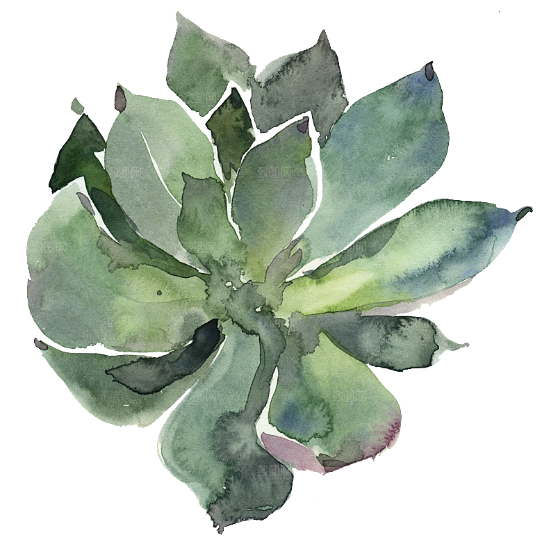 文艺手绘仙人掌花卉植物设计素材