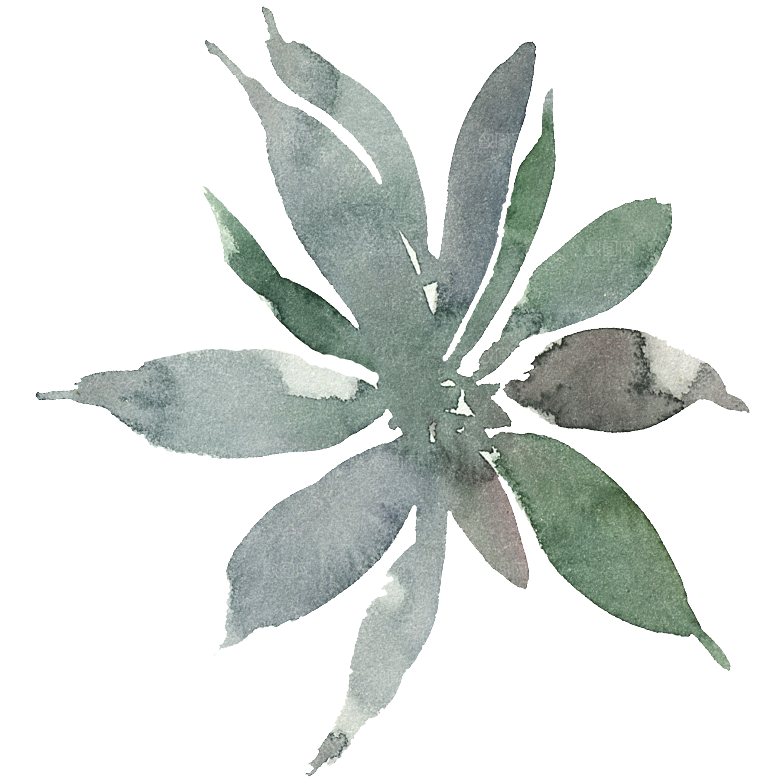 文艺手绘仙人掌花卉植物设计素材