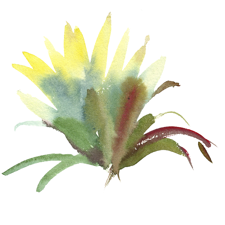 文艺手绘仙人掌花卉植物设计素材